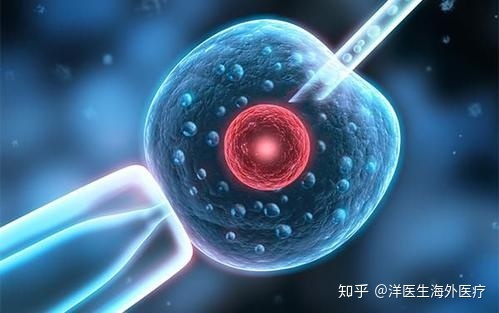 患有地中海贫血症可以做赠卵试管婴儿吗？会不会遗传给下一代？