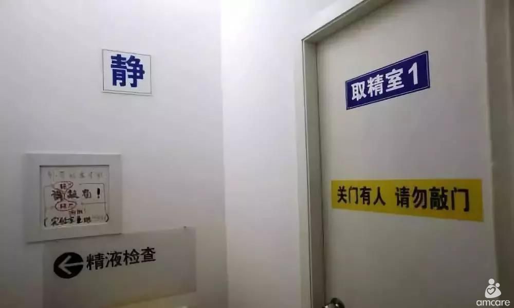 供卵试管婴儿｜如何提高囊胚受精率？