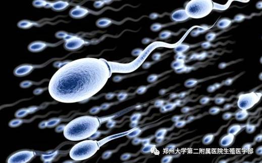 镇江省江苏镇江医院赠卵试管婴儿多少钱？(2022年镇江试管助孕费用)